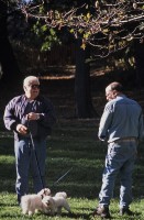 Conversaciones en el Parque