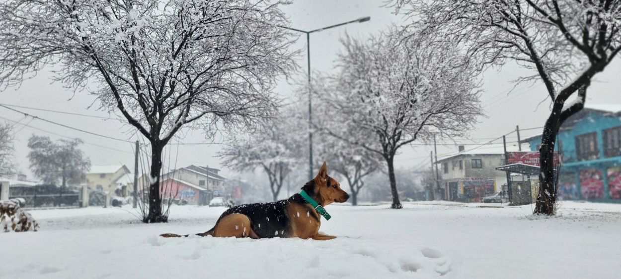 Descansando en la nieve