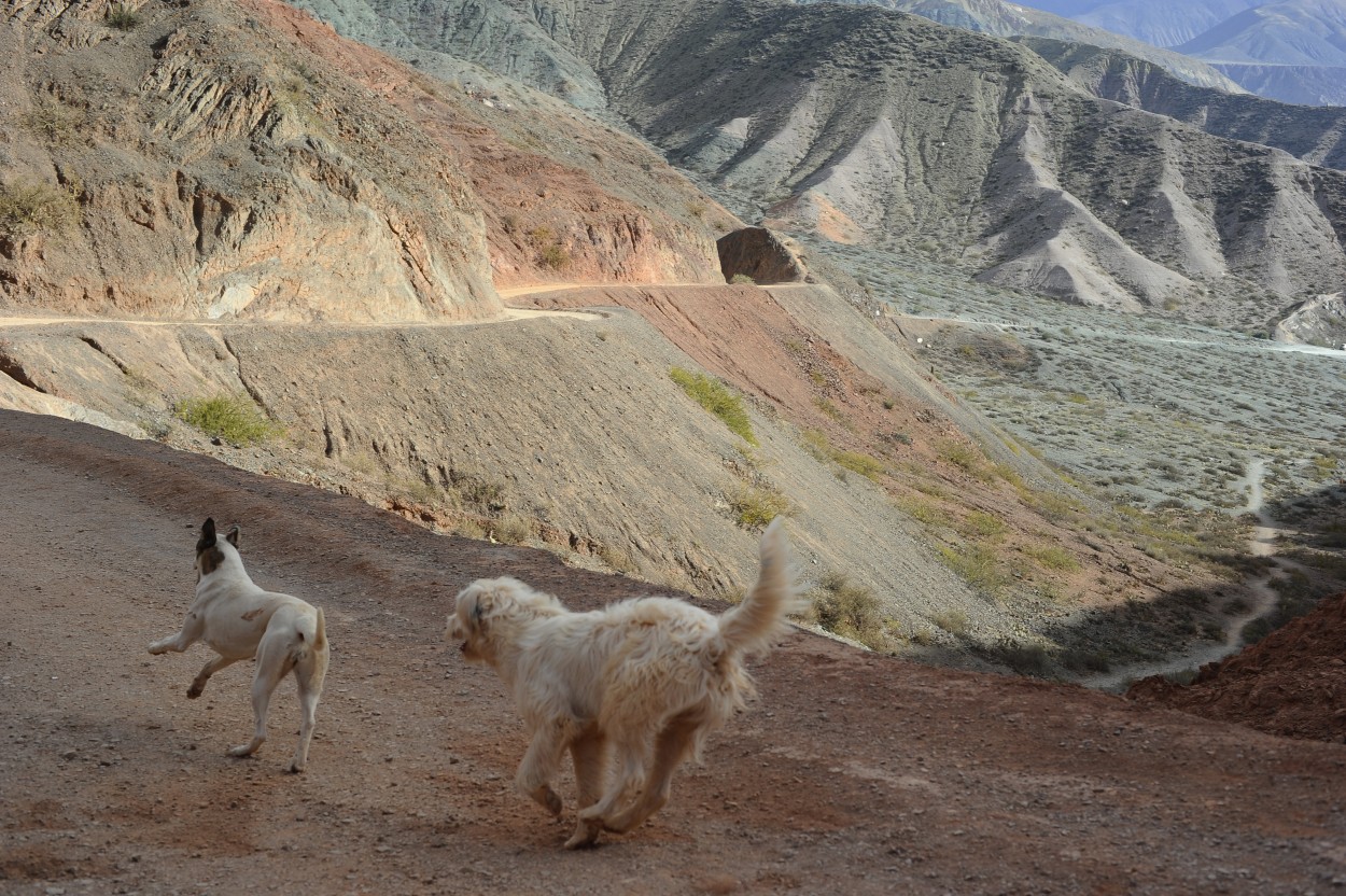 Correteando