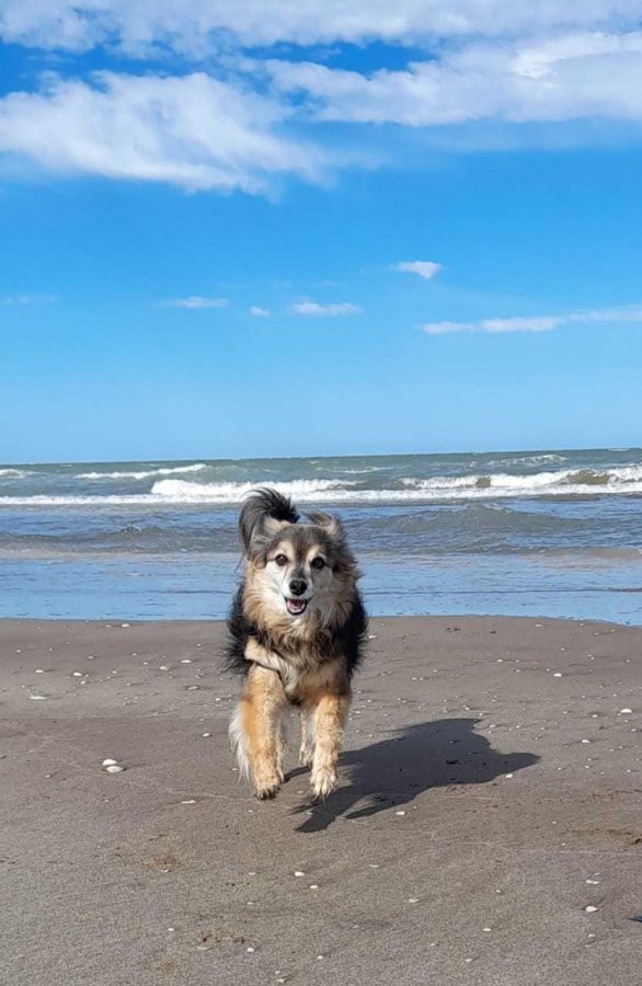 Conociendo el mar