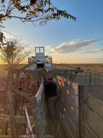 Trabajo rural