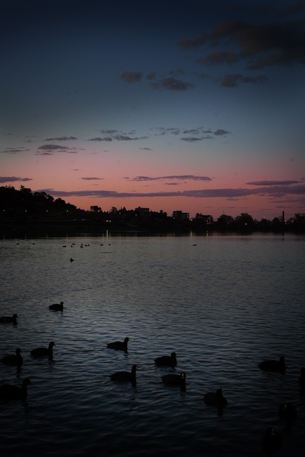 Amanecer en el lago