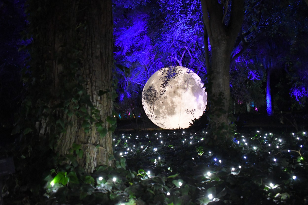 NOCHE DE LUNA LLENA. Estela Bentez