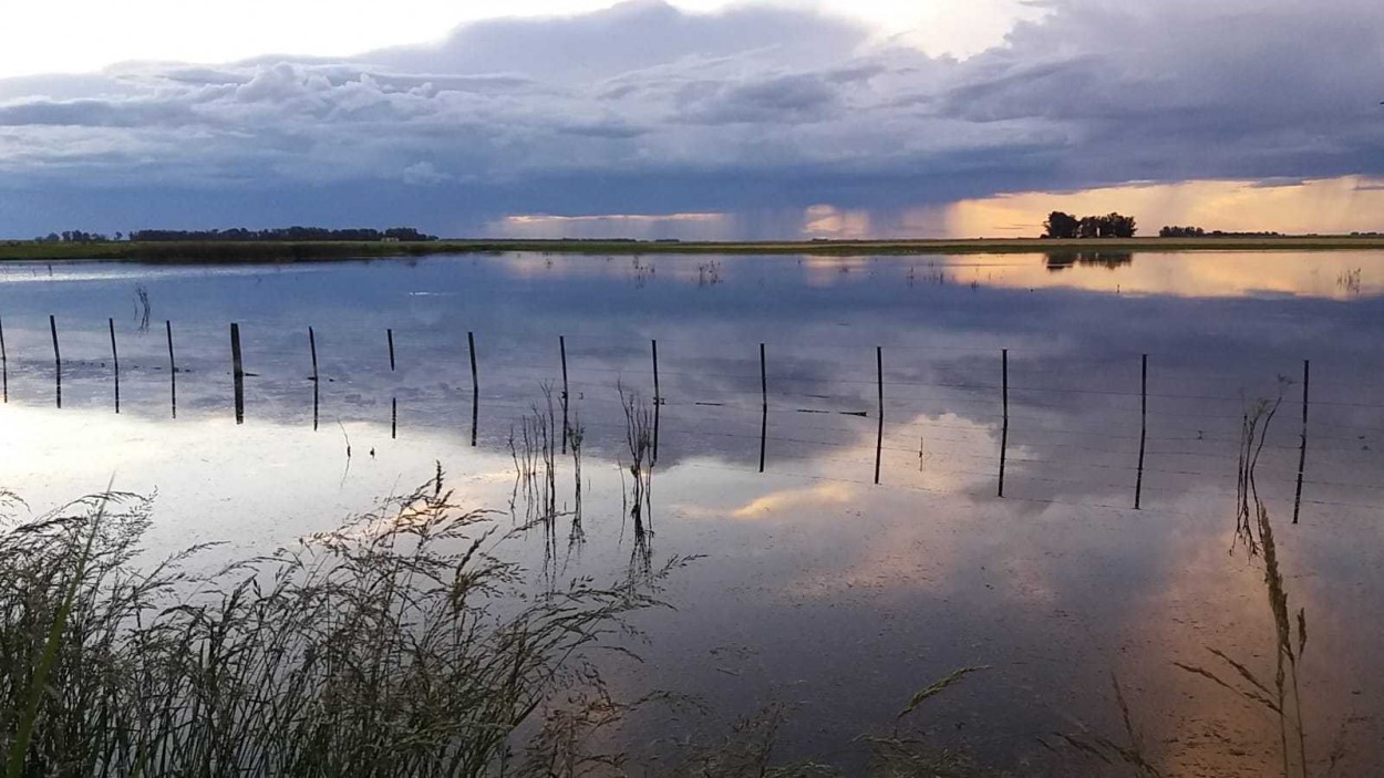 Reflejos