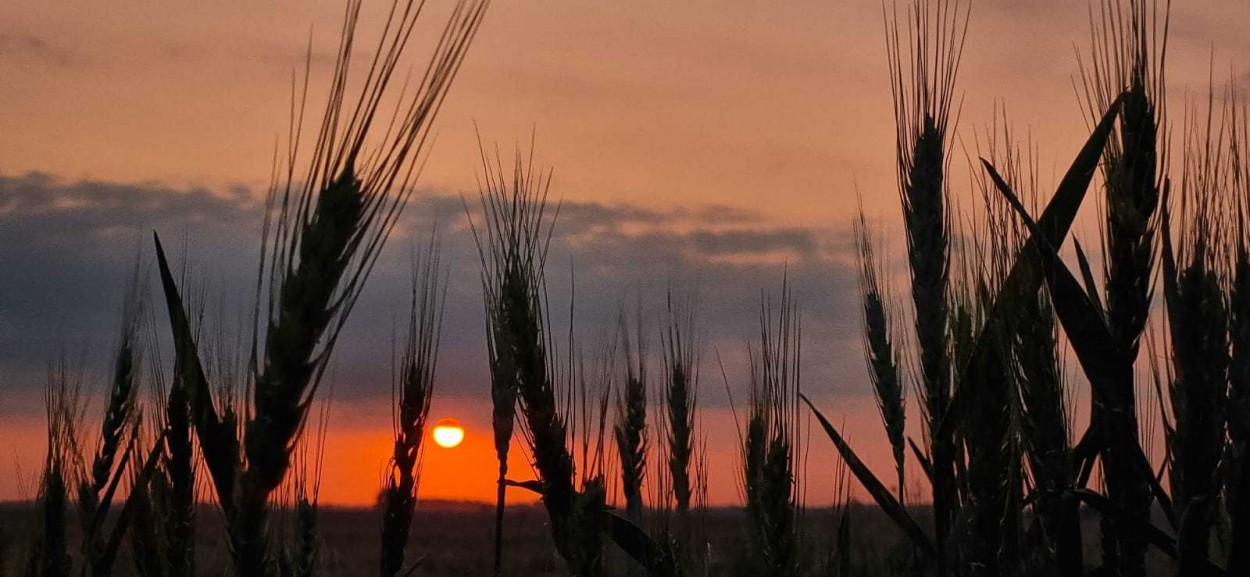 La magia del atardecer en el campo 2