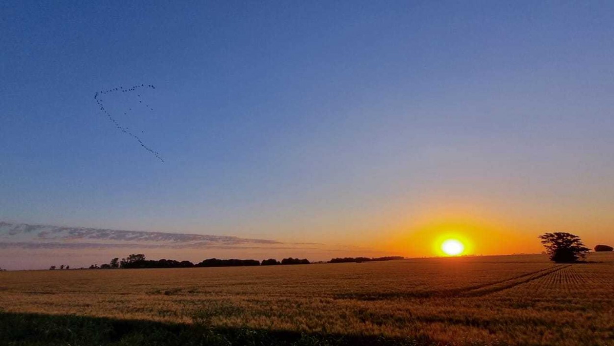 La magia del atardecer en el campo 4