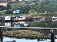 Parchando el casco en isla de Chiloe