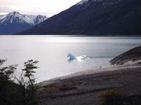 caballo de hielo