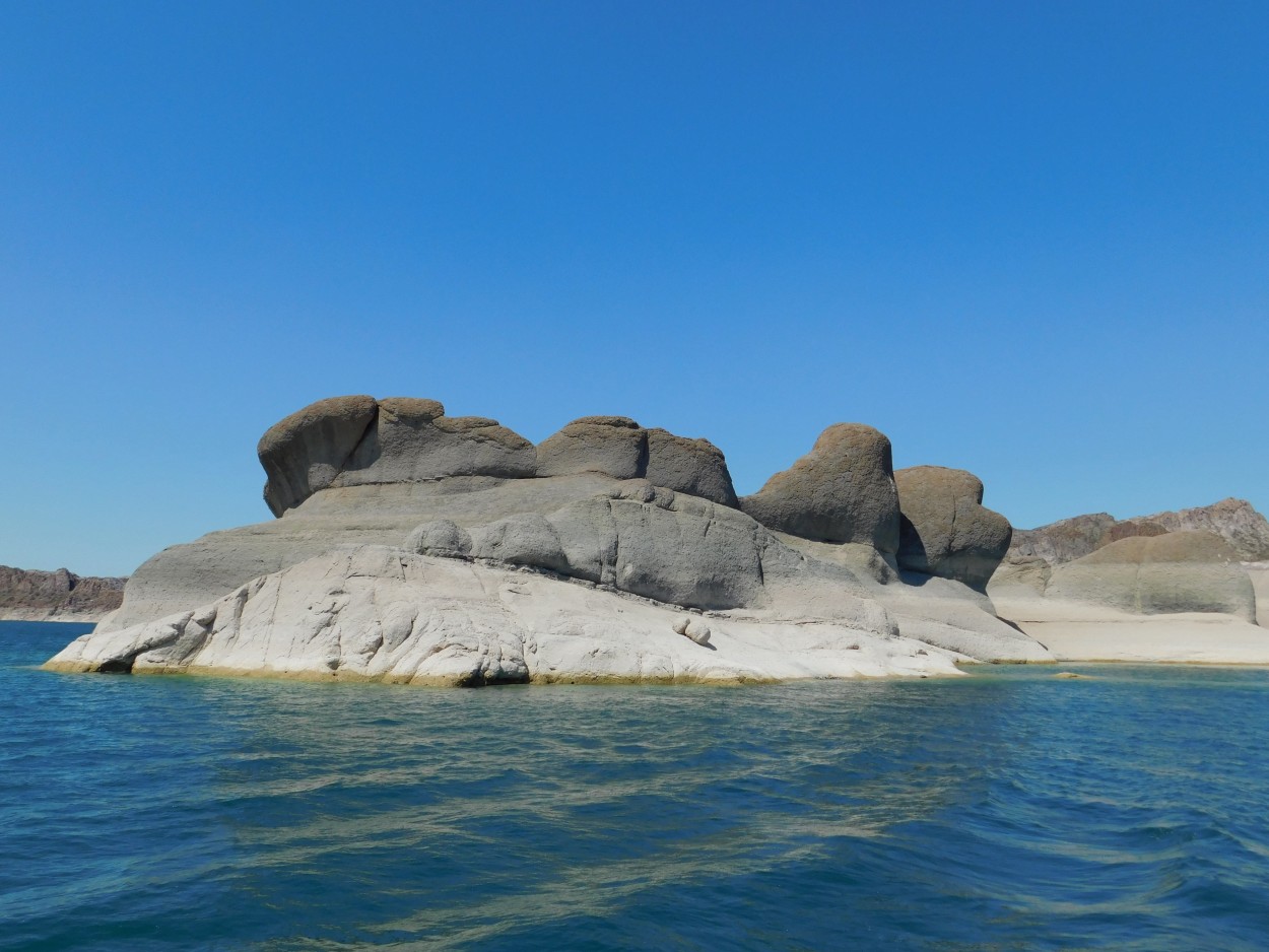 Isla Elefante,Reyunos