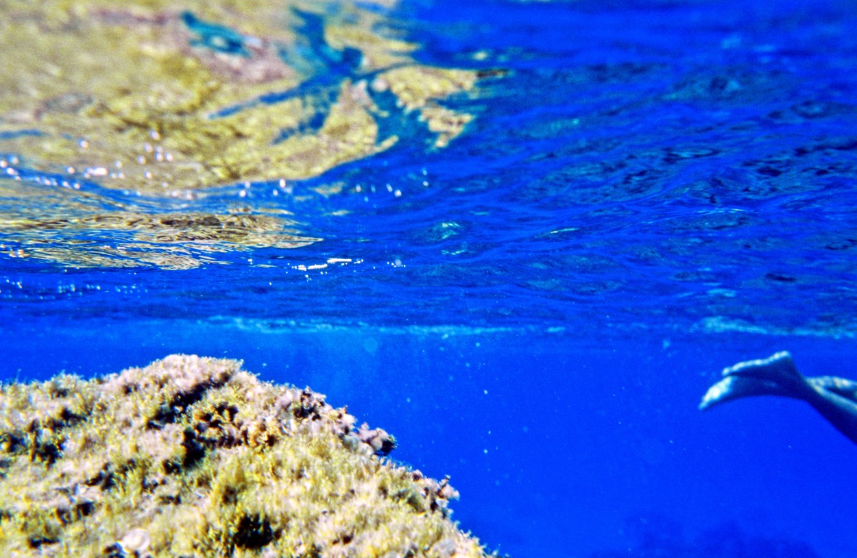 Isla Lampedusa (Italia)