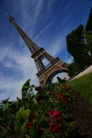 Admirando Torre Eiffel