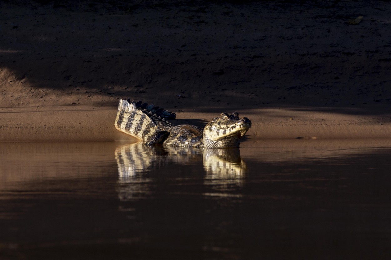 Reflejos en la playa de Pantanal