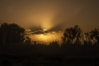 Un atardecer en el campo