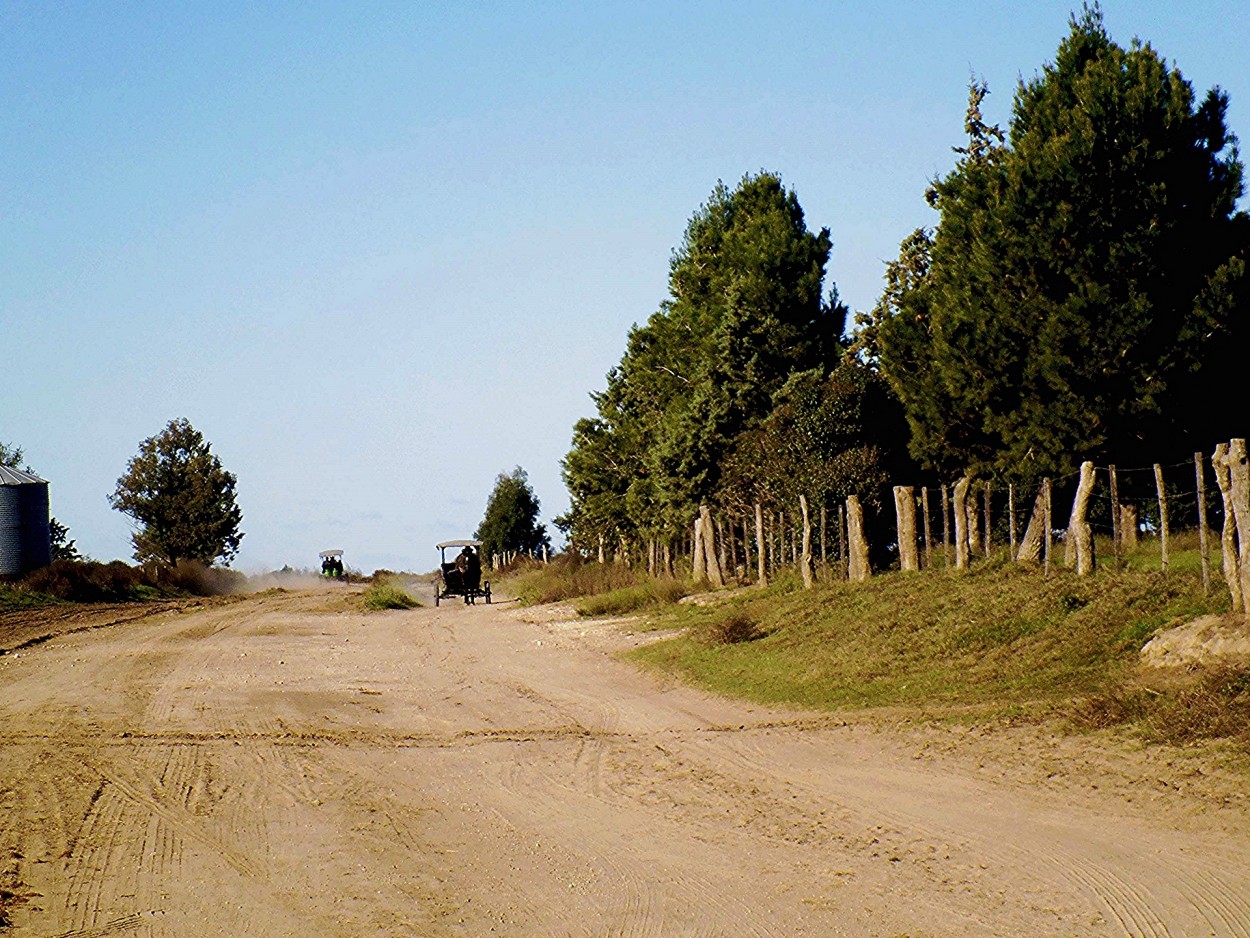 Levantando tierra