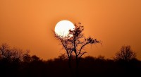 Amanecer en el Serengeti 1