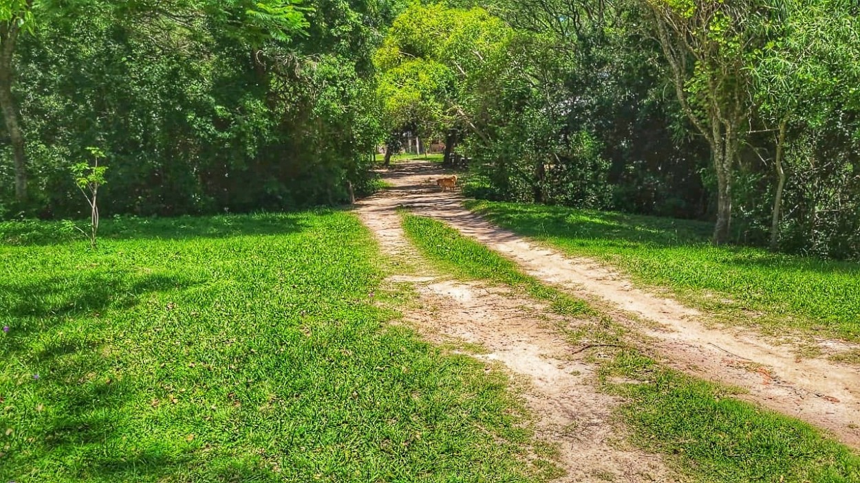 Tierra, camino d vida