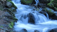 Cascada blanca