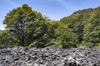 Escorial volcanes, Ruta 62 Neuquen