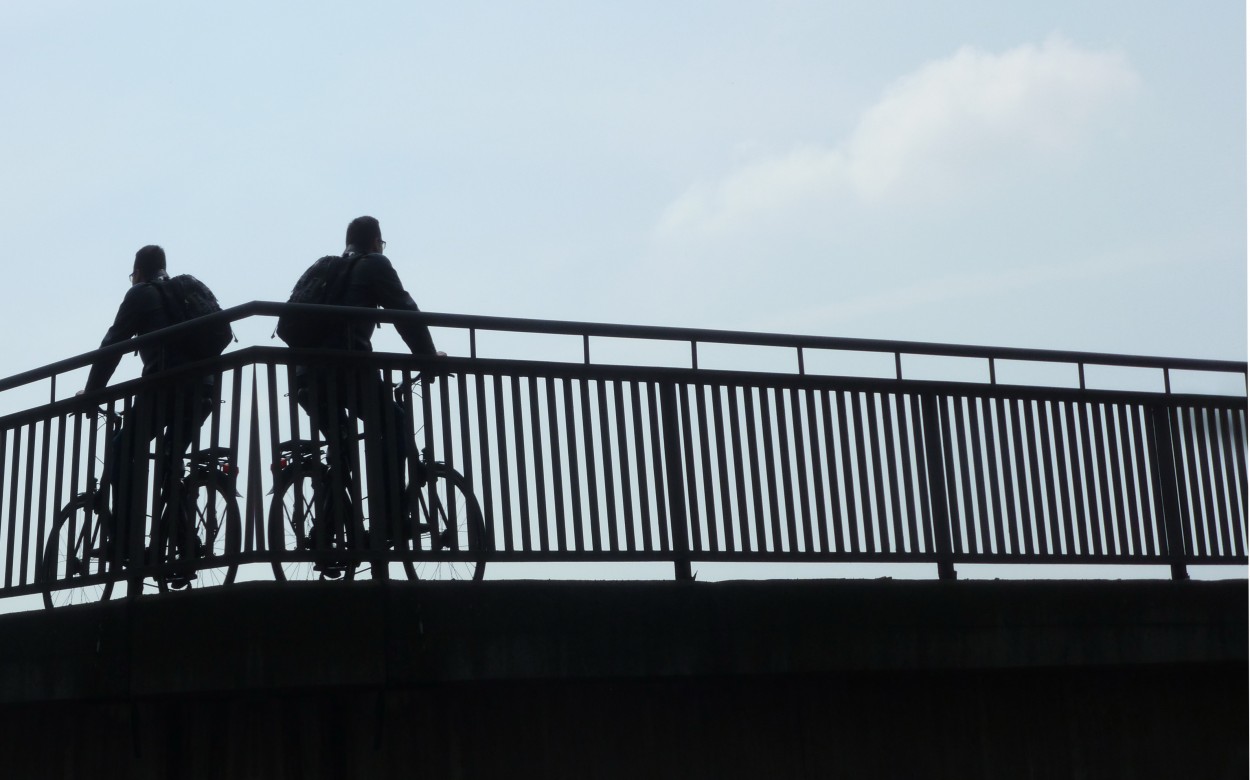 Bicicleteando