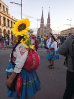 Girasoles