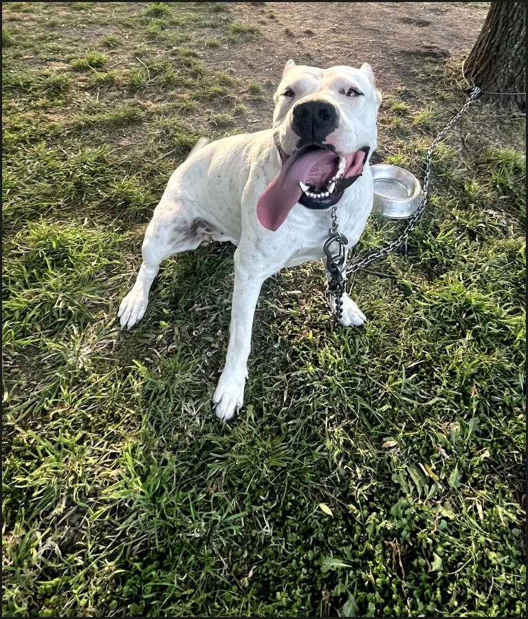 Mamitaaa esos dientes y lengua