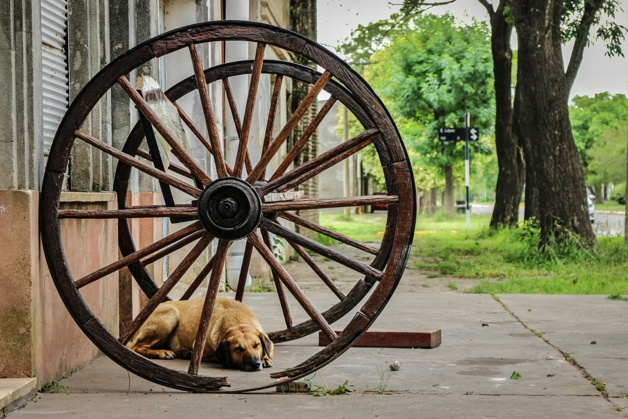 Siesta