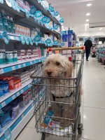 de compras