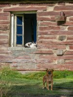 Guardianes del tren