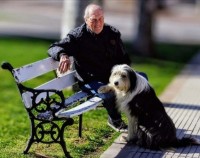 Paseo en la Plaza