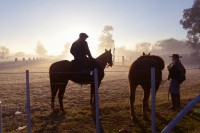 Amanecer en el campo