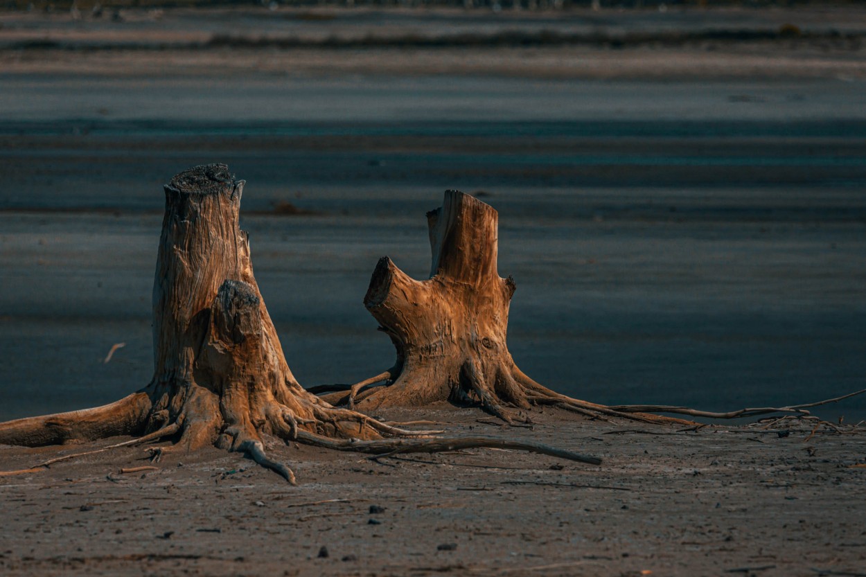 Epecuen1