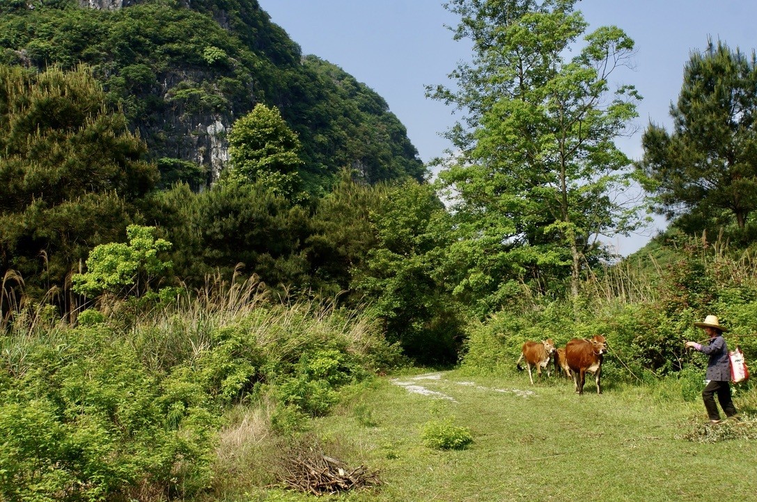 Guilin