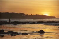 Atardecer en Tamarindo II