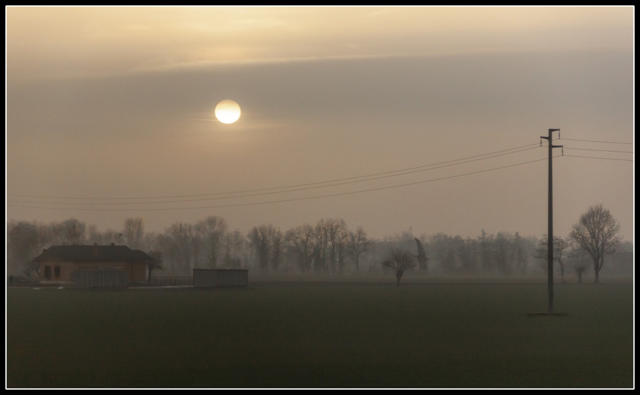 Niebla en el campo