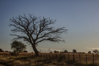 Atardecer en Conelo