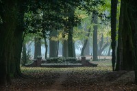 Claroscuro en el parque