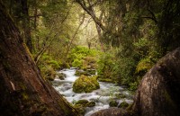 La Catarata, Chubut.