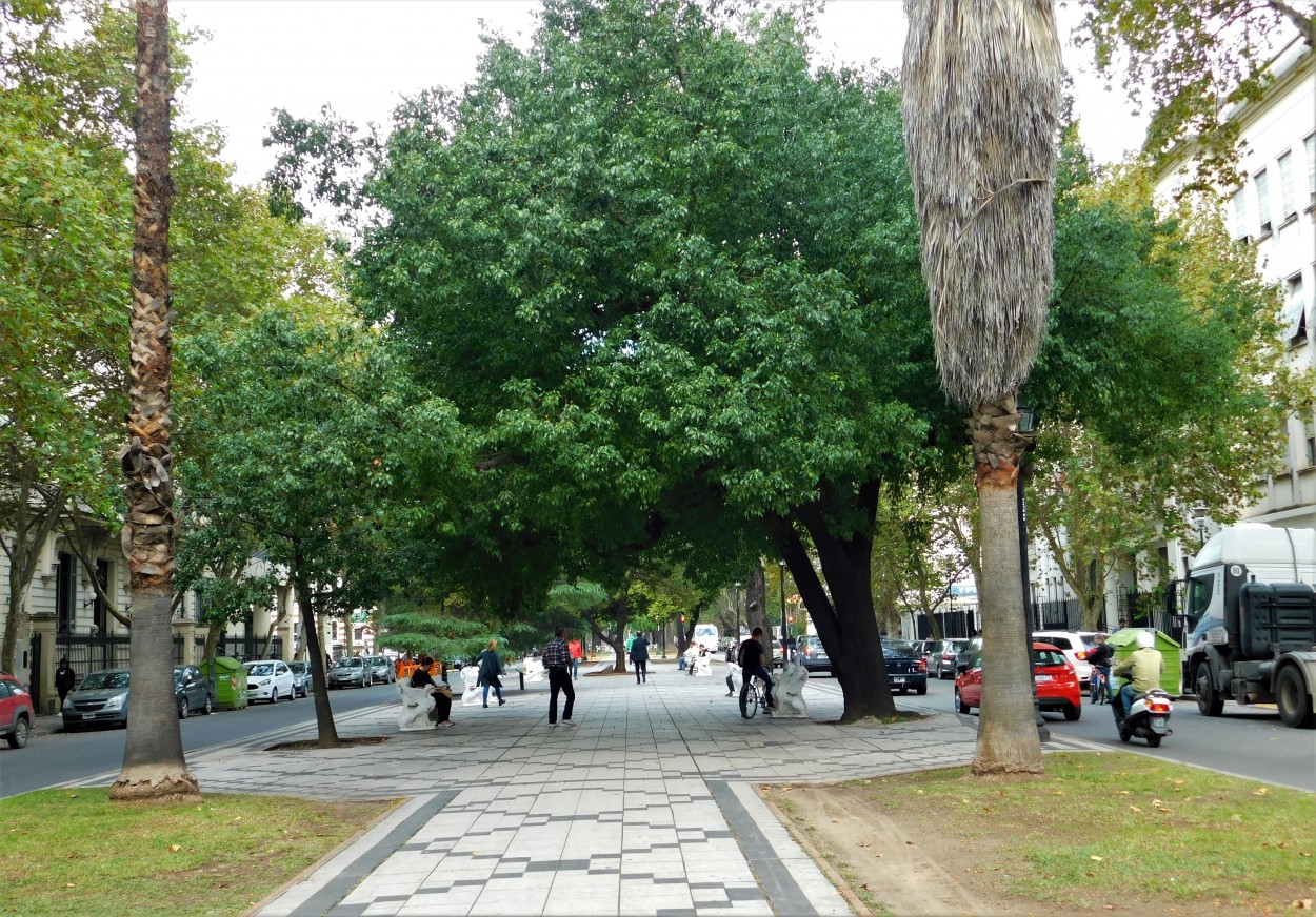 Avenida en Rosario