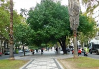 Avenida en Rosario