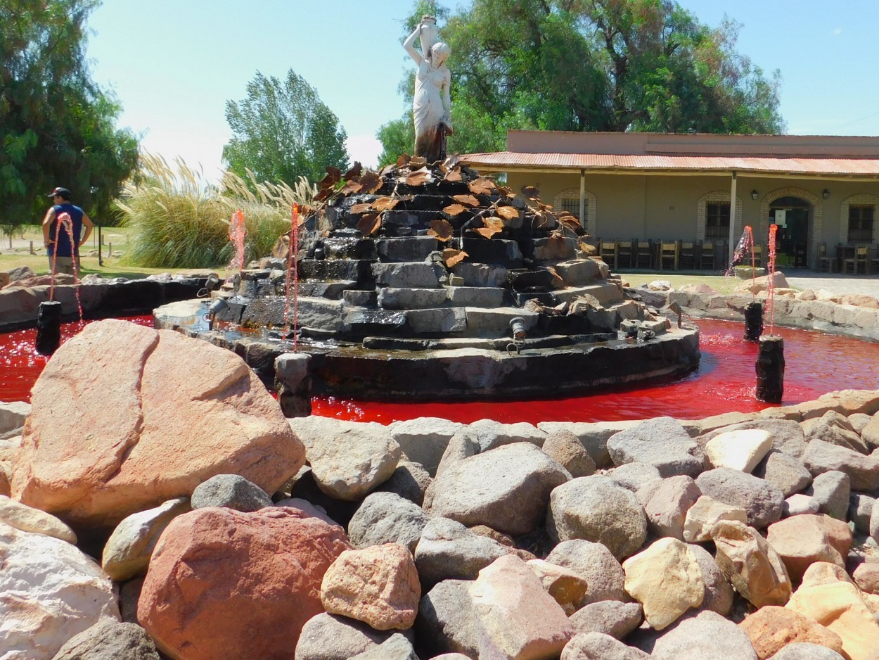 Fuente de vino bodega en Mendoza