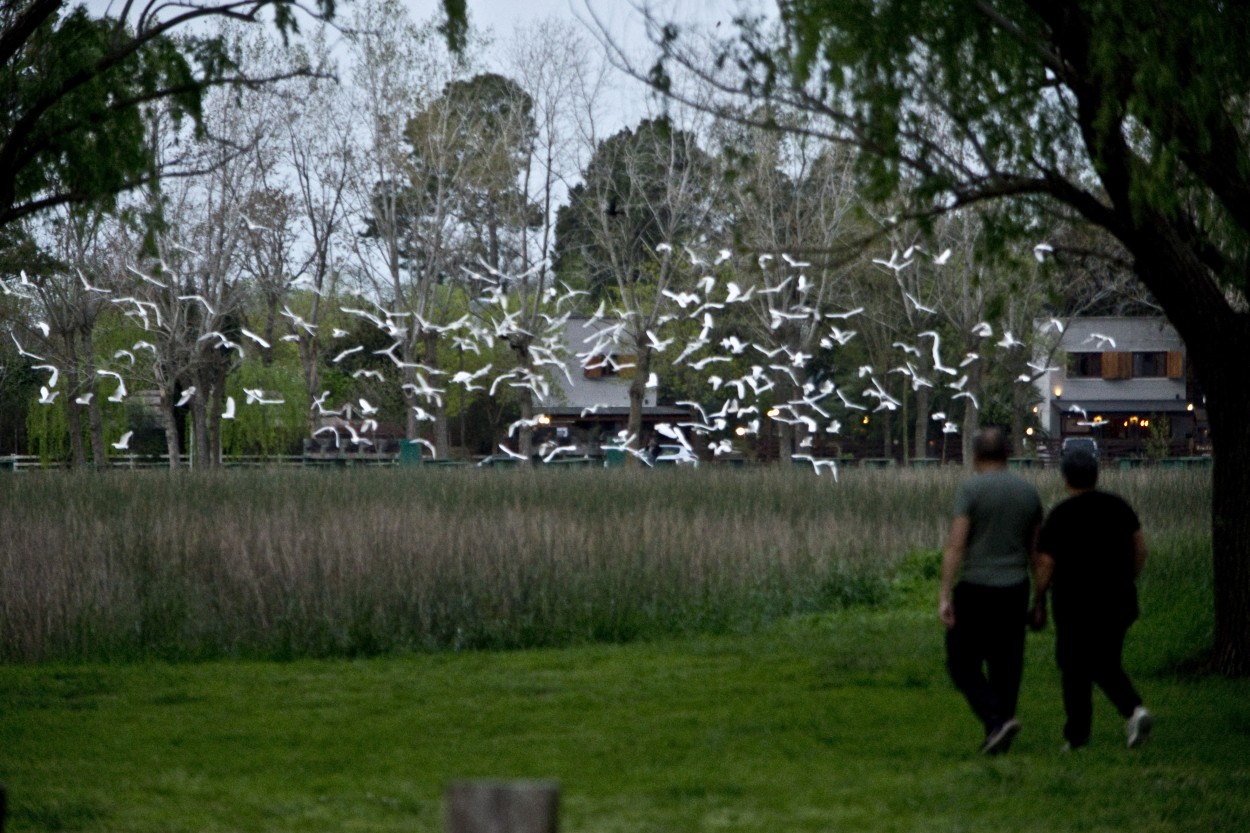 vuelo inesperado