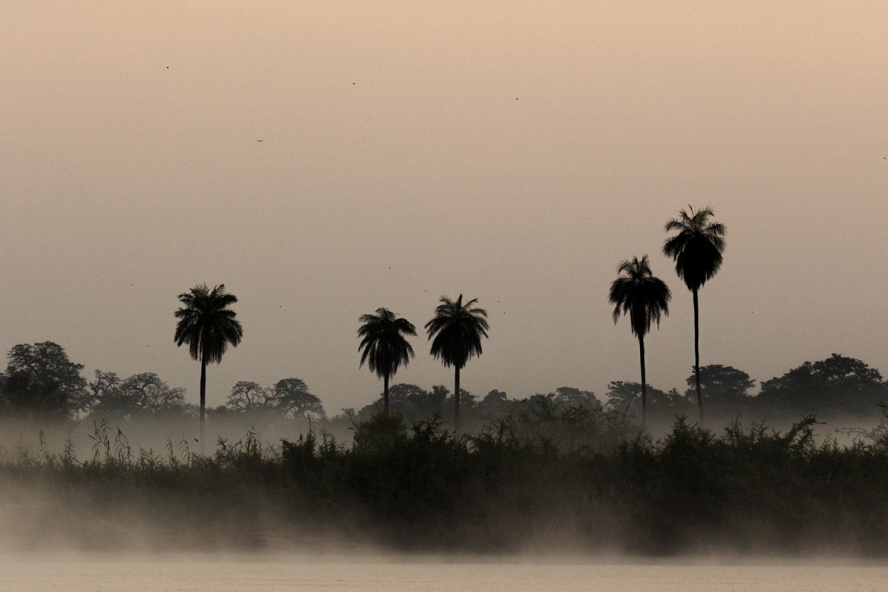 Gambia