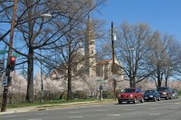 Basilica de la Inmaculada Concepcin Washington DC