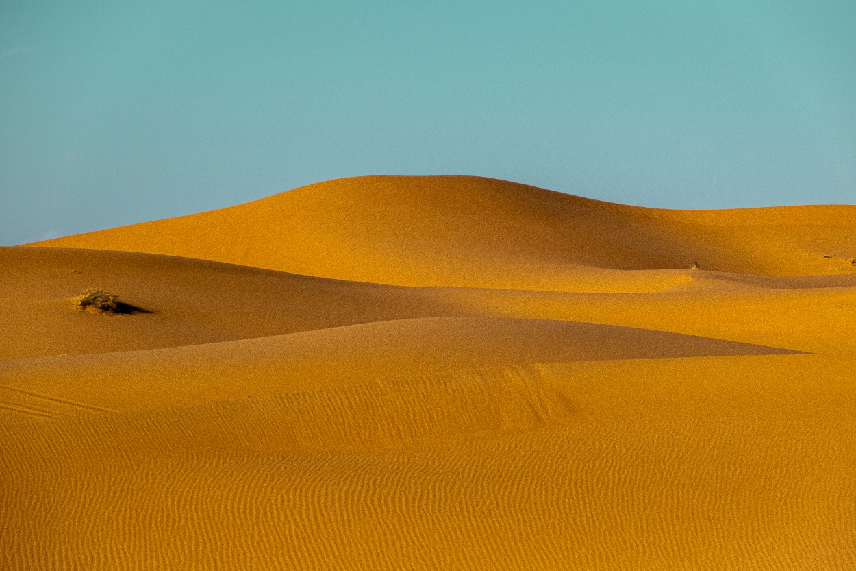 `Desierto #1`. Desierto de Merzouga, Marruecos