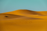 `Desierto #1`. Desierto de Merzouga, Marruecos