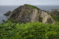 `Verde Inmensidad`. Lugar: Asturias, Espaa. (2023