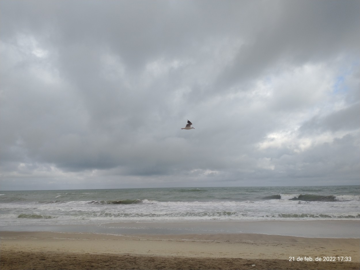 Mar Azul, Costa de Provincia de Buenos Aires