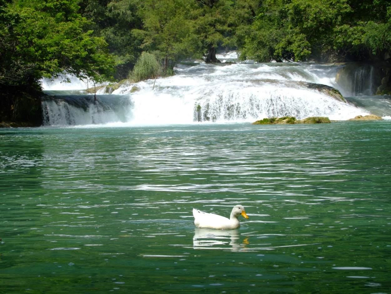 Cascadas de Micos