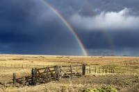 Lluvia y arco iris en el campo