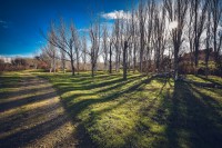 Sombras del Ebro